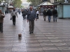 walking-the-dog-on-the-las-ramblas-2