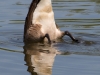 Bottoms Up