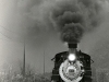 481