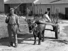 Portugal-Farmer-Wife