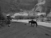 riding-home