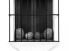 Arcos-Window