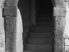 Dog in Doorway 3_edited-2