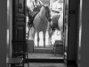 El Rocio #2_edited-1