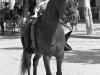 Feria-de-Sevilla