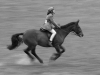London Rider and Horse