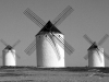 Molinos-de-Campo-de-Criptana