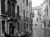Venice #3A