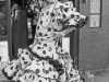 cadiz-carnival-1987-2