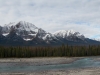 Along the Icefields Parkway #2a
