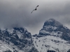 Canmore Mountains #2