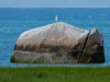 Rock-Harbor