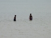 Two-Boys-at-Lieutenants-Beach