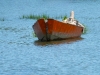 Wellfleet-Dory-2