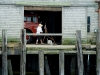 p-town-artist