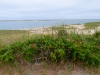 Chatham-Beach