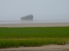 Misty-Morning-on-Lieutenants-Island-2