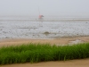 Misty-Morning-on-Lieutenants-Island-5