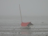 Misty-Morning-on-Lieutenants-Island