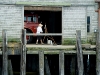 p-town-artist