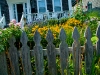picket-fence-flowers