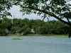 wellfleet-view