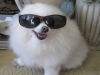i-am-cool