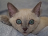 ziggy-05-16-10