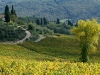 chianti-countryside-1