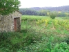 the-vinyard