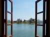 Looking-Out-2
