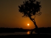 Sunset Pelican Cove