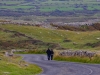 Walking in the Burren