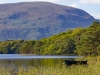 Muckross House Lake