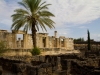 capharnaum-2