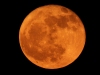 Strawberry-Moon-2025-06-11