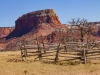 Ghost Ranch #3A