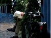 reading-the-paper
