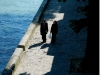 walking-along-the-seine