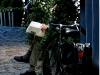 reading-the-paper