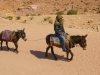mule-rider-2