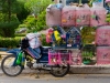 birds-on-a-bike